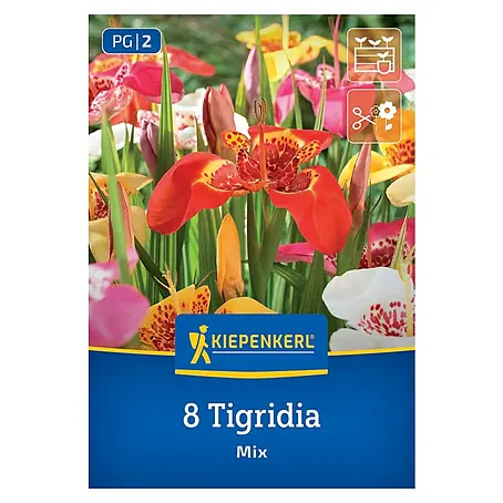 Kiepenkerl  Blumensamenmischung Tigerblume Mischung