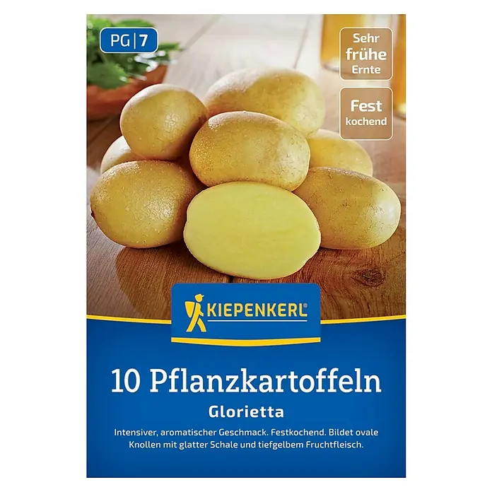Kiepenkerl Pflanzkartoffeln Glorietta - Solanum tuberosum, 10 Stk., Erntezeit: Juni - Abbildung einer Packung mit 10 Saatkartoffeln der Sorte Glorietta, einer sehr frühen und festkochenden Sorte von Kiepenkerl.
