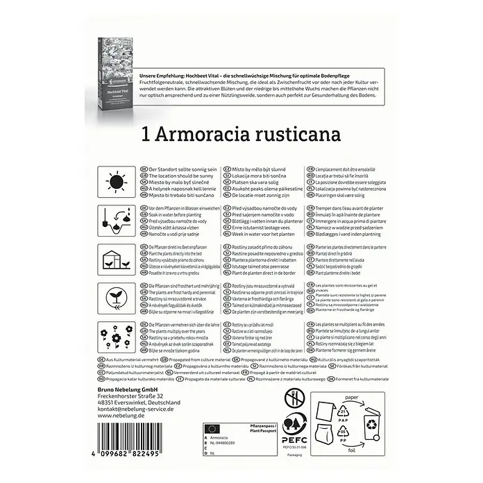 Kiepenkerl Saatgut Meerrettich Armoracia rusticana - Armoracia rusticana - Produktbild: Armoracia rusticana, eine mehrjährige, frostharte Pflanze, ideal für sonnige Standorte und zur Bodenpflege.