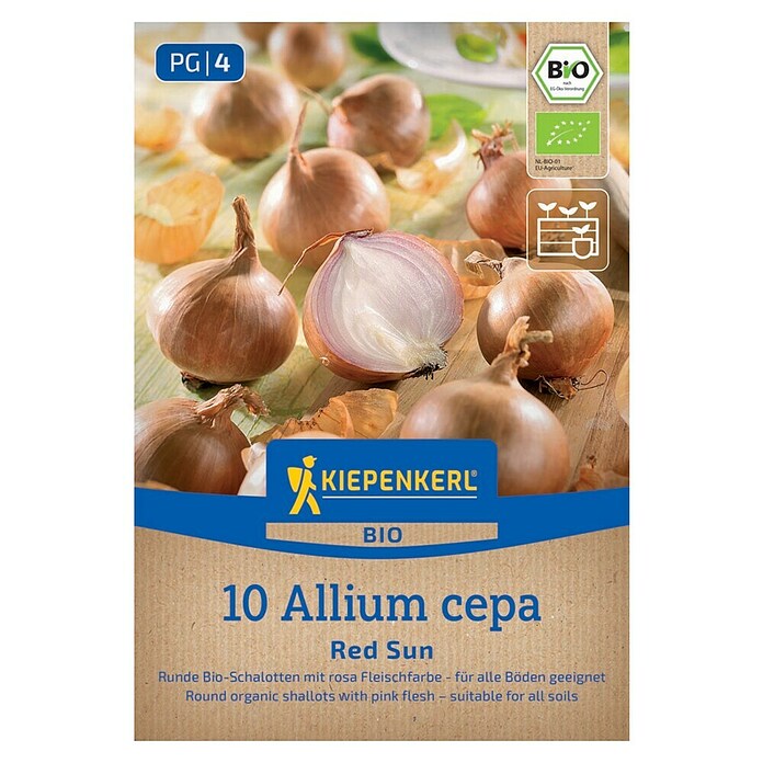 Kiepenkerl Bio Steckzwiebeln Schalotte Red Sun Gr. 7/15 (Allium cepa, Erntezeit: Juli) | BAUHAUS