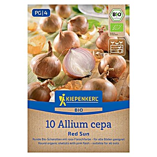 Kiepenkerl Bio Steckzwiebeln Schalotte Red Sun Gr. 7/15 (Allium cepa, Erntezeit: Juli)