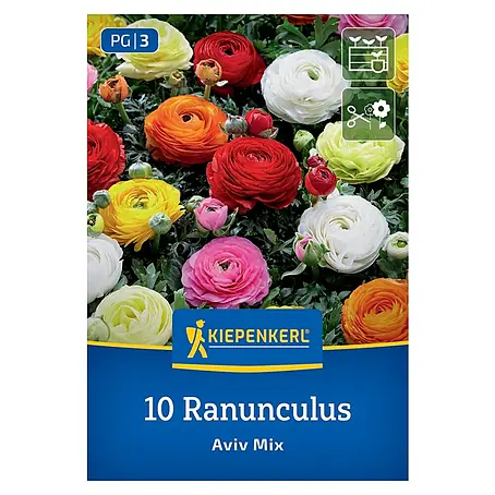 Kiepenkerl  Blumensamenmischung Ranunkelmischung Aviv Mix