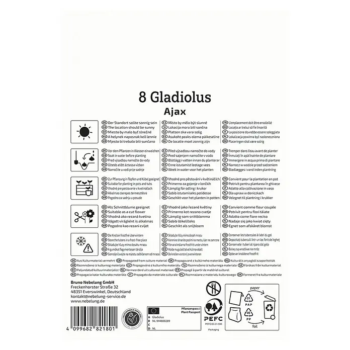 Kiepenkerl Blumensamenmischung Gladiolus Ajax - Gladiolus x Hybrida - Verpackung für 8 Gladiolus Ajax Blumenzwiebeln mit Pflanzanleitung und Pflegehinweisen.