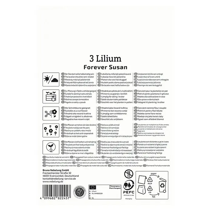 Kiepenkerl Blumensamenmischung Lilie Forever Susan - Lilium x Hybrida - Verpackungsaufdruck für 3 Lilien der Sorte Forever Susan mit Pflanz- und Pflegehinweisen sowie Informationen zur Nachhaltigkeit.