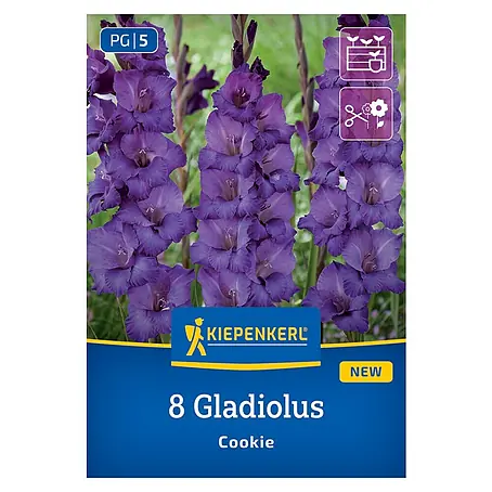 Kiepenkerl  Blumensamenmischung Gladiole Cookie