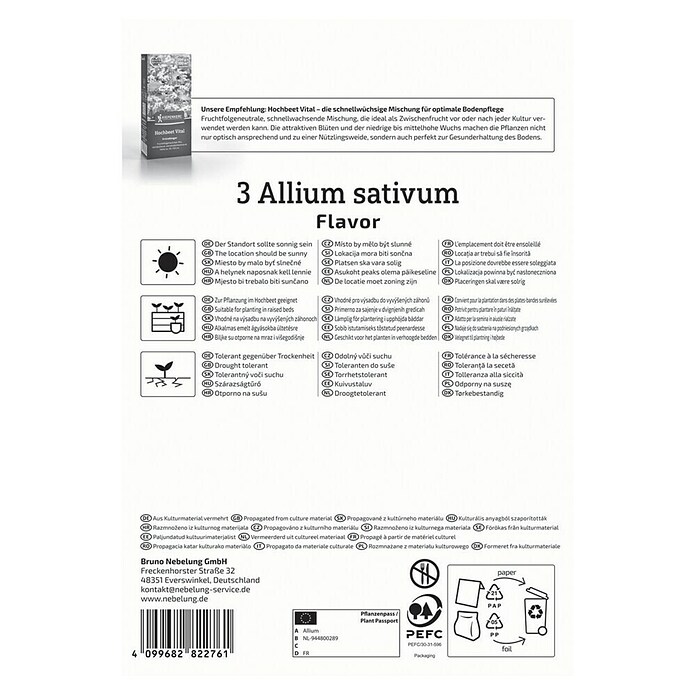 Kiepenkerl Knoblauch Flavor (Allium sativum) | BAUHAUS