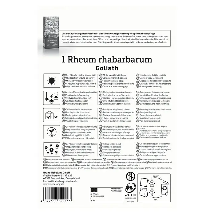 Kiepenkerl Gemüsesamen Rhabarber Goliath - Rheum rhabarbarum, Erntezeit: Mai - Produktabbildung von 1 Rheum rhabarbarum Goliath, die ideale Pflanze für eine optimale Bodenpflege und ein optisches Highlight im Garten.