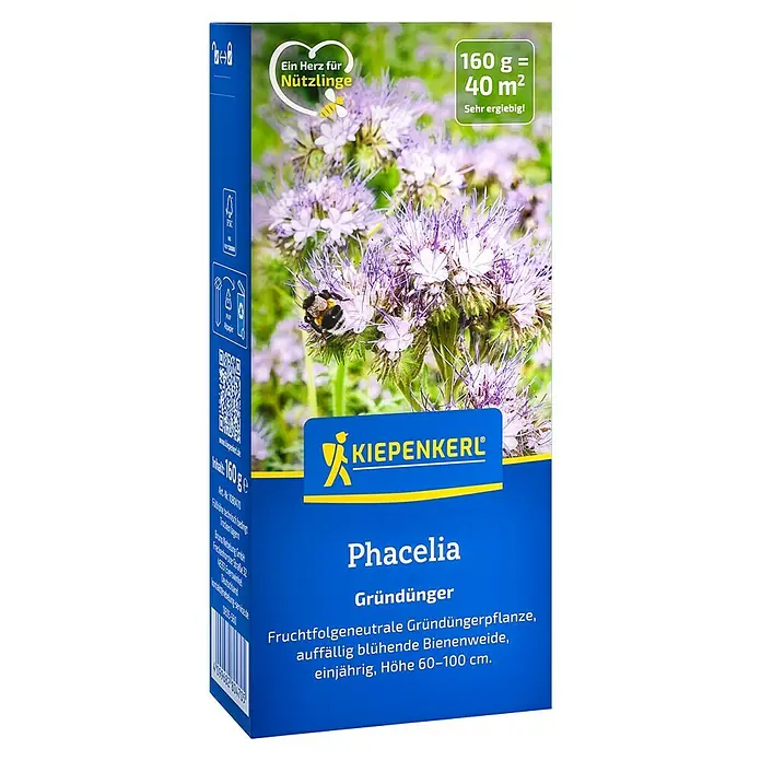 Kiepenkerl Gründüngung Phacelia - Phacelia tanacetifolia, 40 m² - Packung Phacelia-Gründünger von Kiepenkerl mit blühenden Pflanzen und einer Hummel. Inhalt: 160 g, ausreichend für 40 m².