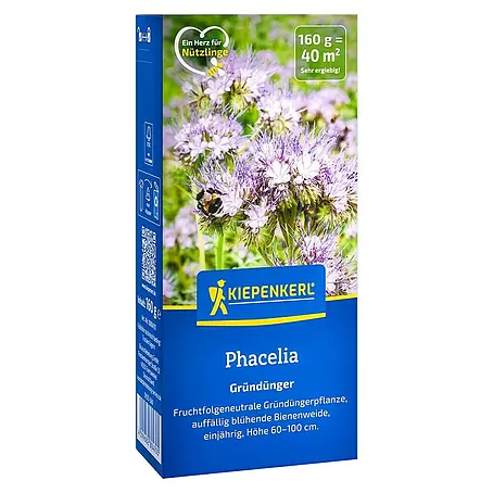 Kiepenkerl  Gründüngung Phacelia