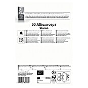 Kiepenkerl Bio Steckzwiebeln Sturon Gr. 12/21 (Allium cepa, Erntezeit: Juli) | BAUHAUS
