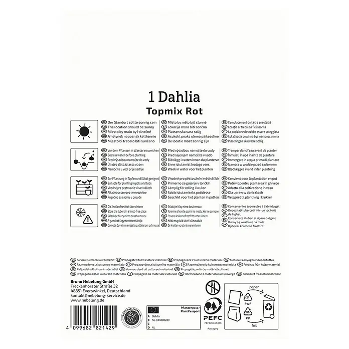 Kiepenkerl Dahlie Topmix Rot - Dahlia x Hybrida, Rot - Abbildung einer Dahlie Topmix Rot Verpackung, die Details zur Pflanzung, Pflege und Entsorgung enthält.
