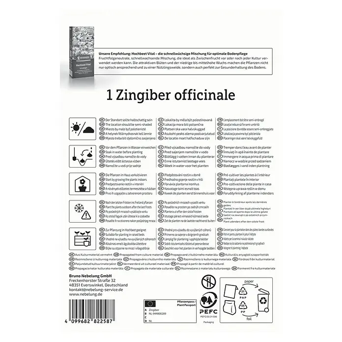 Kiepenkerl Ingwer - Zingiber officinalis - Zingiber officinale Pflanzanleitung: Standort, Bewässerung, Anbau im Haus und Freiland, Kulturmaterial und Hinweise zur Verpackungsentsorgung.