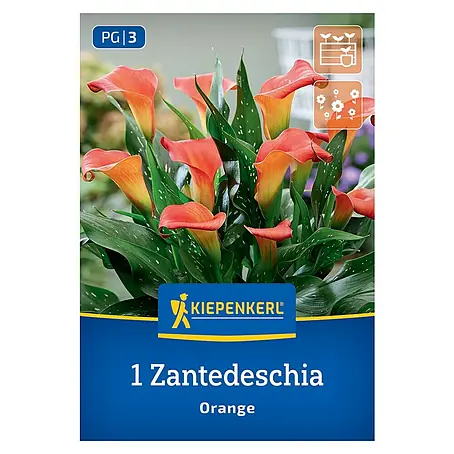Kiepenkerl  Blumensamenmischung Calla Orange