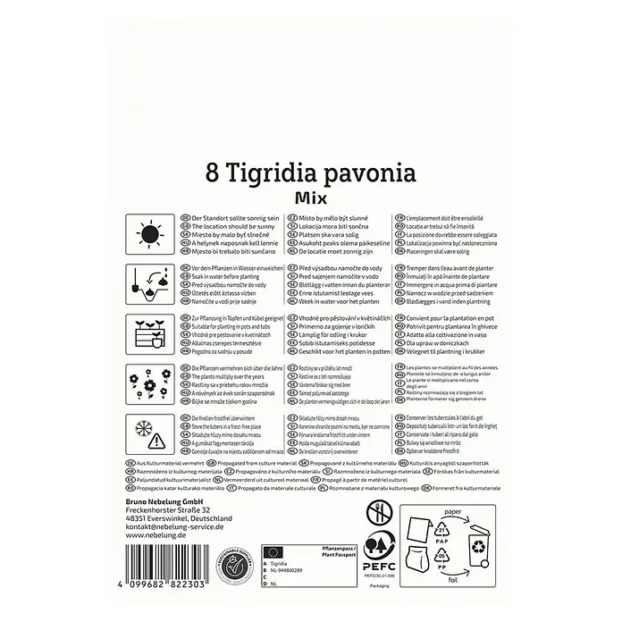 Kiepenkerl Blumensamenmischung Tigerblume Mischung - Tigridia pavonia, Mehrfarbig - Informationen zum Pflanzen von 8 Tigridia pavonia Blumenzwiebeln, die in einer sonnigen Lage wachsen und im Winter frostfrei gelagert werden müssen.