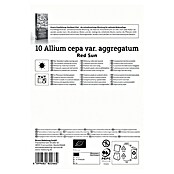 Kiepenkerl Bio Steckzwiebeln Schalotte Red Sun Gr. 7/15 (Allium cepa, Erntezeit: Juli) | BAUHAUS