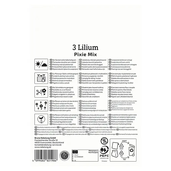 Kiepenkerl Blumensamenmischung Lilie Pixie Mix - Lilium x Hybrida, Mehrfarbig - Produktetikett für 3 Lilium Pixie Mix Blumenzwiebeln, mit Pflanz- und Pflegehinweisen.