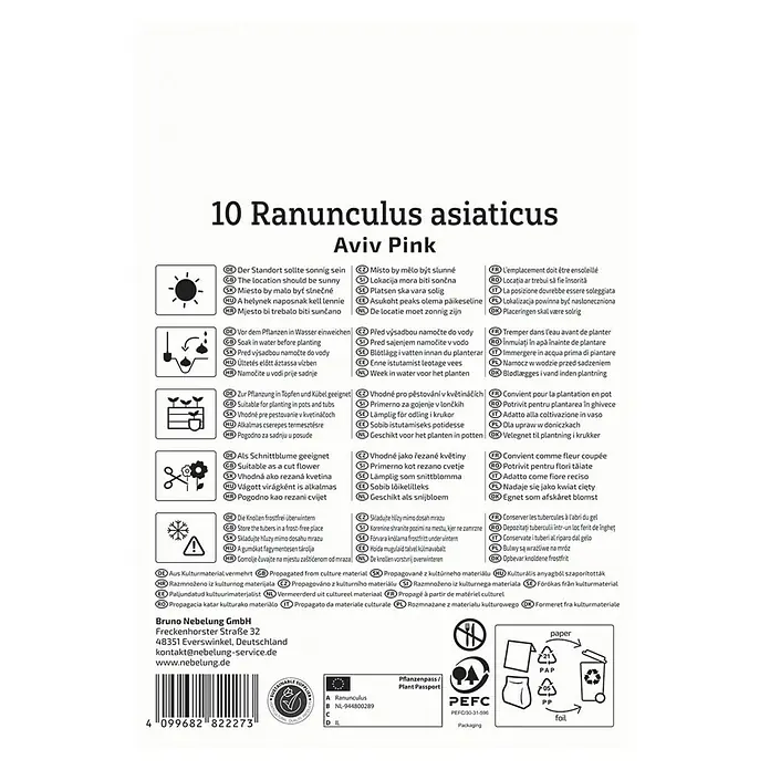 Kiepenkerl Blumensamenmischung Ranunculus Aviv Pink - Ranunculus - Verpackungsanleitung für 10 Ranunculus asiaticus 'Aviv Pink' Blumenzwiebeln mit Pflanzhinweisen und Entsorgungshinweisen.