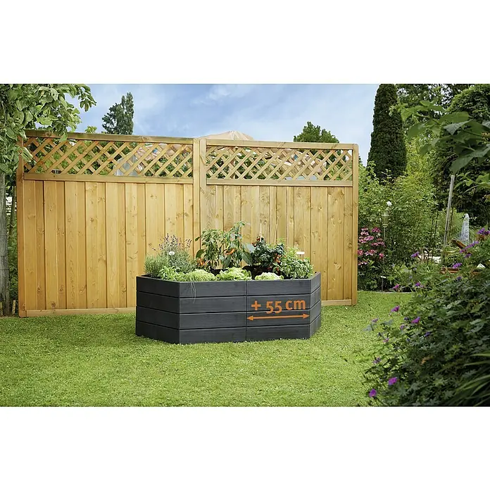 Garantia Hochbeet-Erweiterung Verlängerungsset - 55 x 25 cm - Das Bild zeigt ein erhöhtes Gartenbeet aus dunklem Holz, bepflanzt mit Gemüse und Kräutern, vor einem Holzzaun. Das Beet ist ca. 55 cm breit.