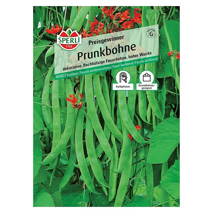 Gemüsesamen Prunkbohne Preisgewinner - Phaseolus coccineus, Erntezeit: Juli - Samenpackung Prunkbohne: Dekorative Feuerbohne für hohen Wuchs, ideal für Gewächshäuser.