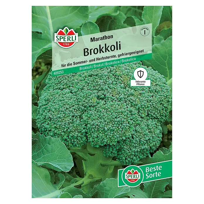 Sperli Gemüsesamen Brokkoli Marathon - Brassica oleracea, Erntezeit: Juli - Samenfeste Brokkoli-Sorte "Marathon" für Sommer- und Herbsternte. Diese Sorte ist tolerant gegen Krankheiten und eignet sich auch zum Einfrieren.