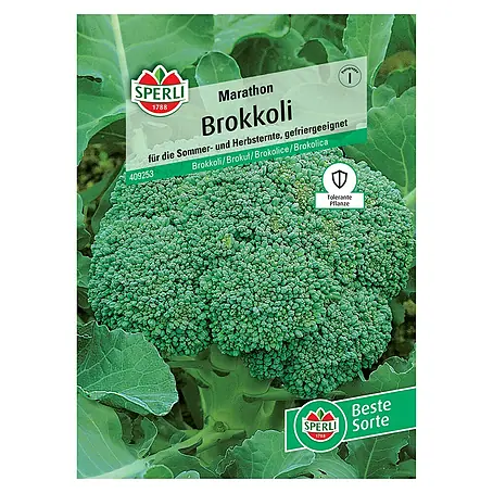 Sperli  Gemüsesamen Brokkoli Marathon