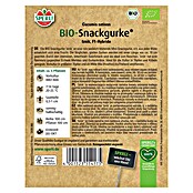 Sperli Snack-Gurke Bio (Iznik, Cucumis sativus, Erntezeit: Juli) | BAUHAUS