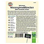 Sperli Blumensamen Wiesengänseblümchen Tausendschön (Bellis perennis, Weiß) | BAUHAUS
