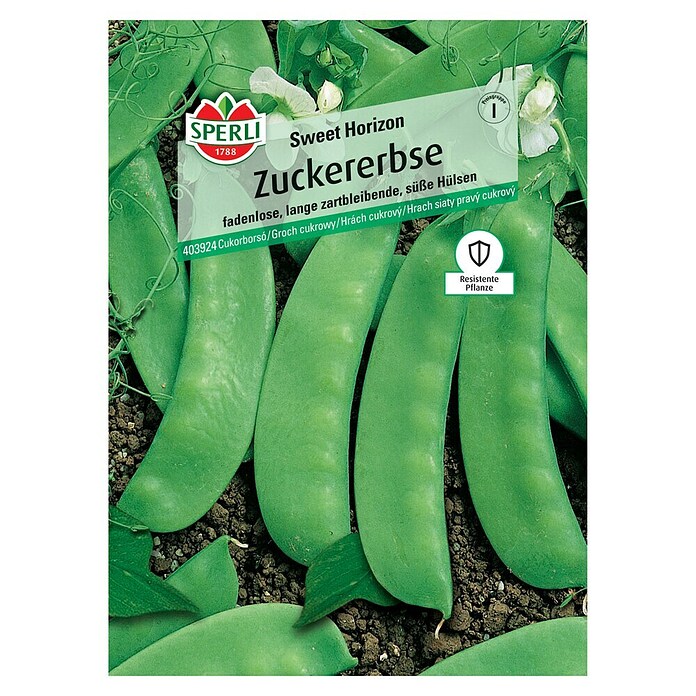 Gemüsesamen Zuckererbse (Sweet Horizon, Pisum sativum, Erntezeit: Juni) | BAUHAUS