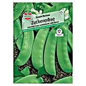 Gemüsesamen Zuckererbse (Sweet Horizon, Pisum sativum, Erntezeit: Juni) | BAUHAUS