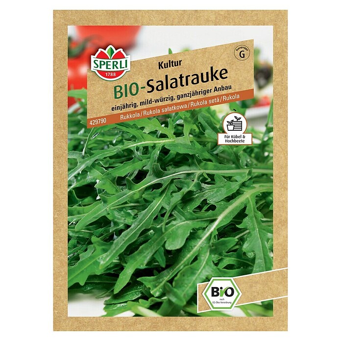 Sperli Salatsamen Salatrauke (Eruca vesicaria subsp. sativa, Erntezeit: Juni) | BAUHAUS