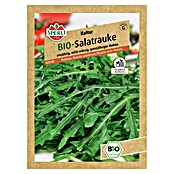 Sperli Salatsamen Salatrauke (Eruca vesicaria subsp. sativa, Erntezeit: Juni) | BAUHAUS