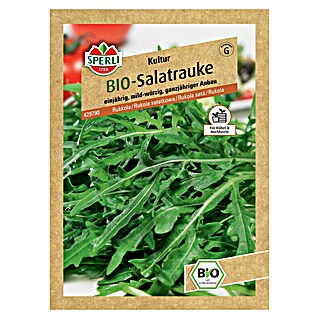 Sperli Salatsamen Salatrauke (Eruca vesicaria subsp. sativa, Erntezeit: Juni)