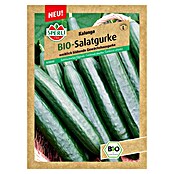 Sperli Gemüsesamen Salatgurke (Kalunga, Cucumis sativus, Erntezeit: Juli) | BAUHAUS