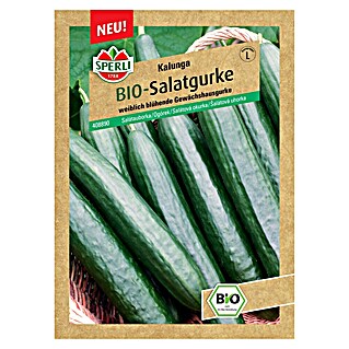 Sperli Gemüsesamen Salatgurke (Kalunga, Cucumis sativus, Erntezeit: Juli)