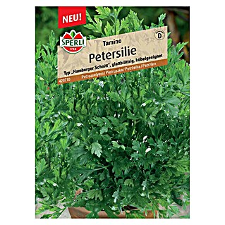Sperli Gemüsesamen Petersilie (Tamino, Petroselinum crispum, Erntezeit: Juni)