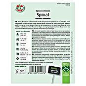 Sperli Gemüsesamen Spinat (Matador, Spinacia oleracea, Erntezeit: Mai) | BAUHAUS