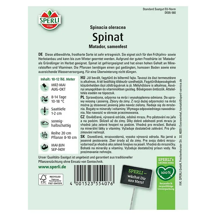 Sperli Gemüsesamen Spinat Matador - Spinacia oleracea, Erntezeit: Mai - Bild einer Samenkapsel von Sperli Spinat Matador, einer frostharten und ertragreichen Sorte für den Anbau im Frühjahr und Herbst.