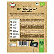 Sperli Gemüsesamen Salatgurke (Kalunga, Cucumis sativus, Erntezeit: Juli) | BAUHAUS