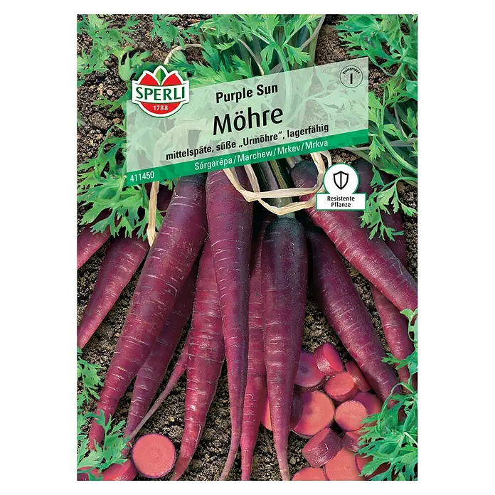 Sperli Gemüsesamen Möhre - Daucus carota Purple Sun, Erntezeit: August - Abbildung der Samtkarotte "Purple Sun" von Sperli, eine mittelfrühe Sorte mit süßem Geschmack und guter Lagerfähigkeit.