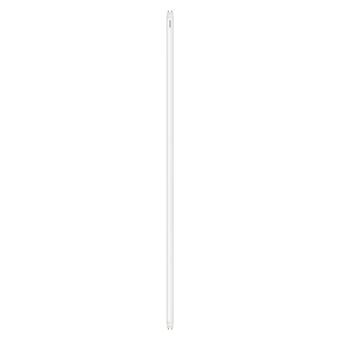 Osram Tubo LED SubstiTUBE PURE ST8P-EM - Largo: 121,2 cm, Blanco frío, 18 W, 1.500 lm, G13 - Un tubo fluorescente blanco OSRAM que está verticalmente en la imagen. Ideal para oficinas y talleres, proporcionando una iluminación uniforme y brillante.