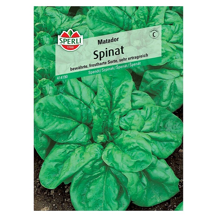 Sperli Gemüsesamen Spinat (Matador, Spinacia oleracea, Erntezeit: Mai) | BAUHAUS