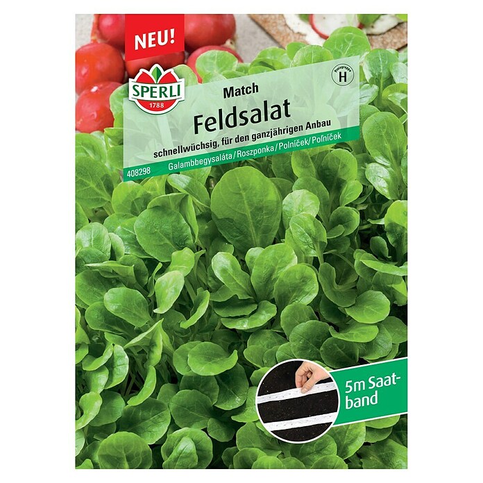 Sperli Salatsamen Feldsalat Match (Valerianella locusta, Erntezeit: Januar) | BAUHAUS