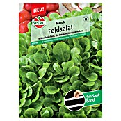 Sperli Salatsamen Feldsalat Match (Valerianella locusta, Erntezeit: Januar) | BAUHAUS