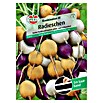Sperli Gemüsesamen Radieschen (Kombination III, Raphanus sativus, Erntezeit: Mai) | BAUHAUS