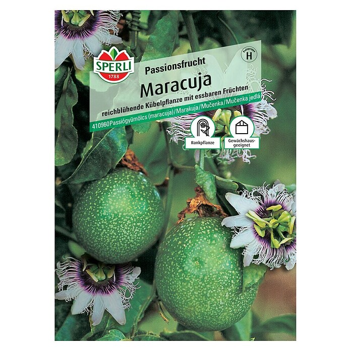 Sperli Obstsamen Passionsfrucht (Maracuja, Passiflora edulis, Erntezeit: August) | BAUHAUS