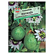 Sperli Obstsamen Passionsfrucht (Maracuja, Passiflora edulis, Erntezeit: August) | BAUHAUS