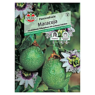 Sperli Obstsamen Passionsfrucht (Maracuja, Passiflora edulis, Erntezeit: August)