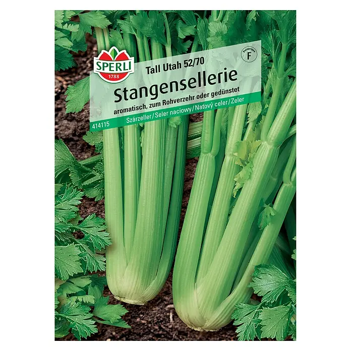 Sperli Gemüsesamen Stangensellerie - Apium graveolens, Erntezeit: August - Samenpackung Stangensellerie "Tall Utah 52/70" von Sperli, aromatisch, vielseitig verwendbar für Rohkost oder gedünstet.