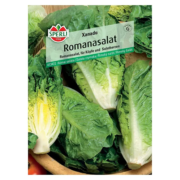 Sperli Gemüsesamen Romanasalat - Lactuca sativa, Erntezeit: Mai - Samenpackung Romanasalat "Xanadu" von Sperli. Ideal für den Anbau von frischem, knackigem Salat im eigenen Garten.