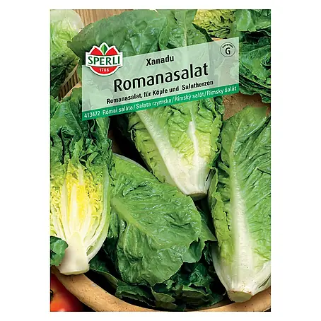 Sperli  Gemüsesamen Romanasalat